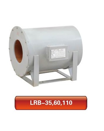 LRB-35 60 110電流互感器